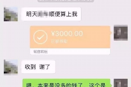 六枝为什么选择专业追讨公司来处理您的债务纠纷？